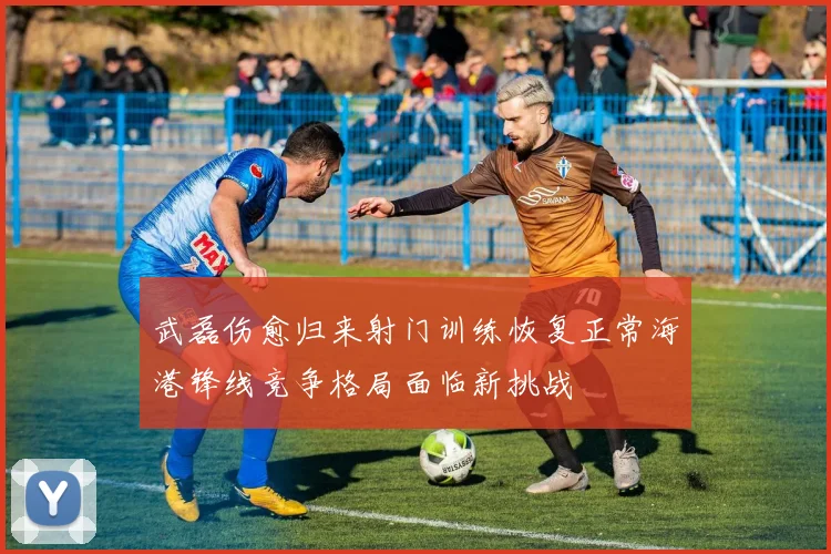 武磊伤愈归来射门训练恢复正常海港锋线竞争格局面临新挑战