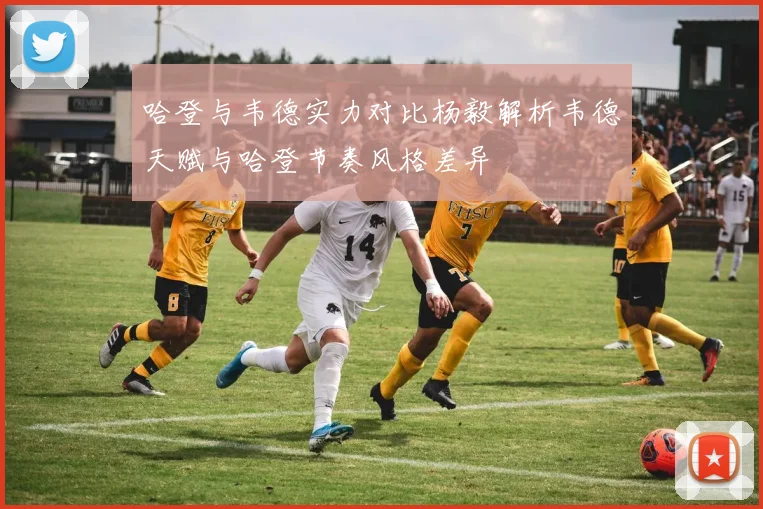 哈登与韦德实力对比杨毅解析韦德天赋与哈登节奏风格差异